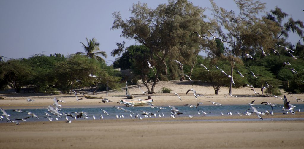 Langue de Barbarie, Senegal